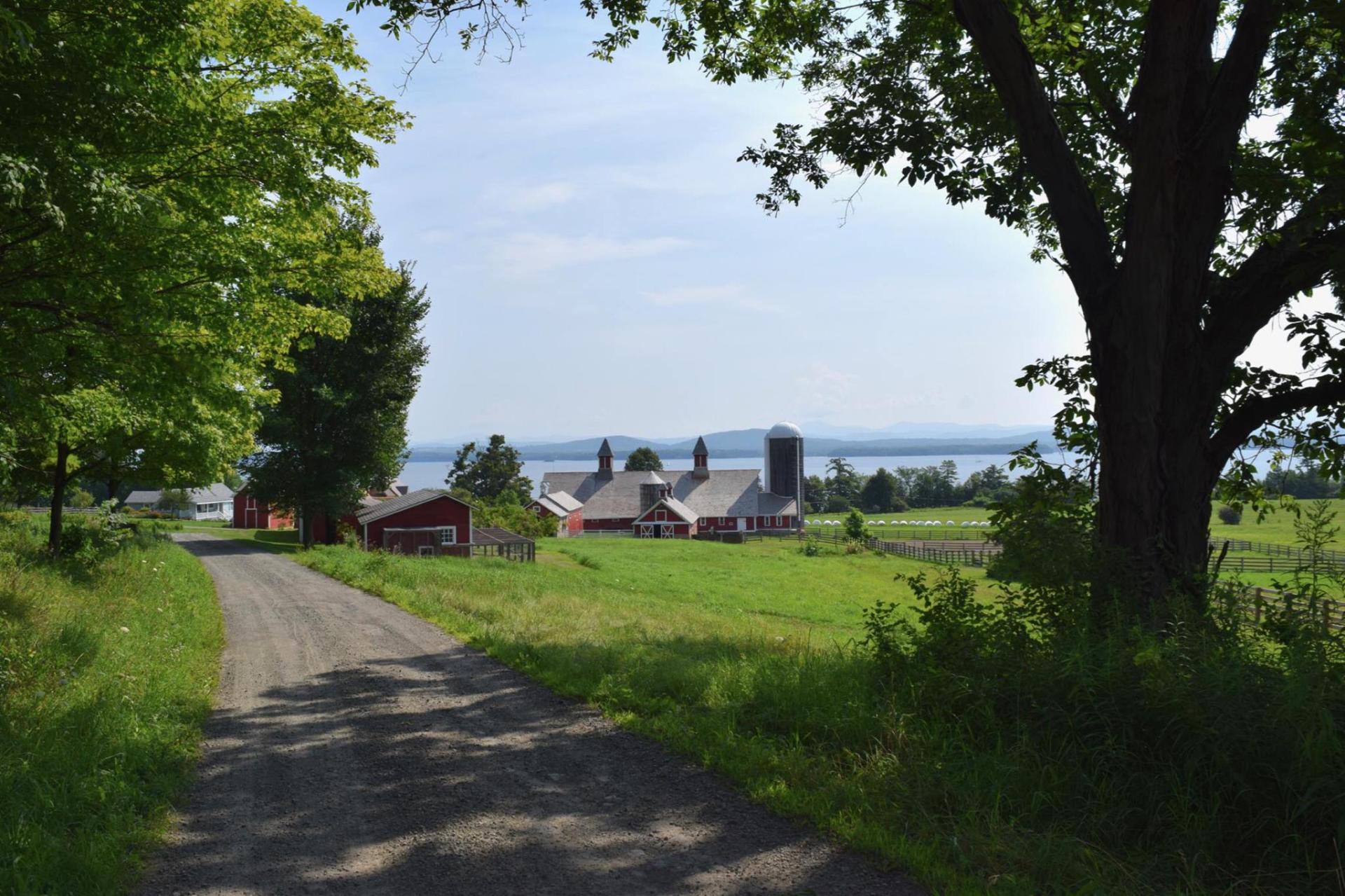 Farm Farm
